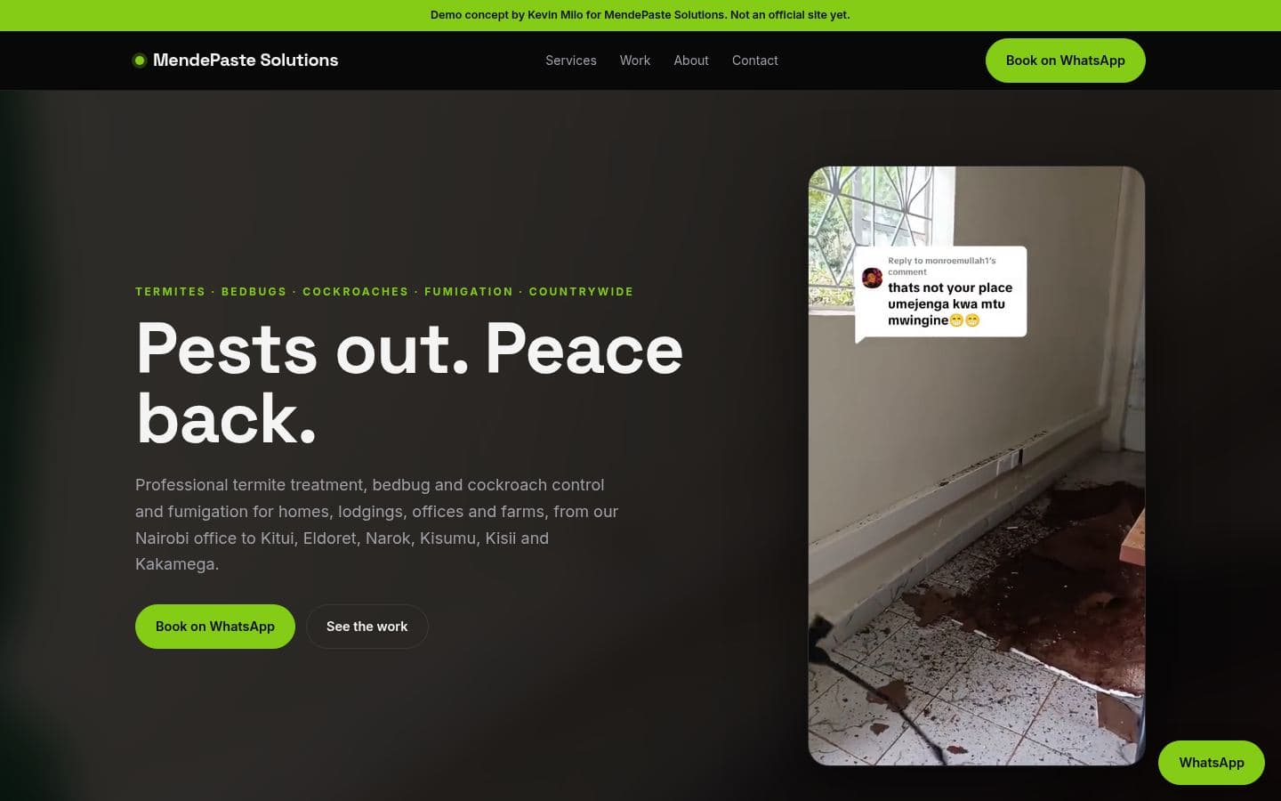 Mendepaste Solutions website retail & more design, built by Kevin Milo at Captivart, Nairobi